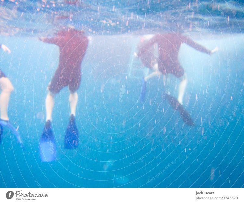 schwimmen im großen Blau Unterwasseraufnahme Schnorchler Pazifik Wärme blau Ferien & Urlaub & Reisen Körperhaltung Unschärfe Mensch Bewegung Wasseroberfläche