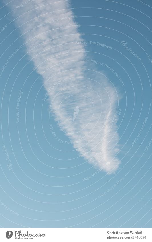 dynamisch | Die Form der Wolke glich einer Feder... Wolken Federwolke weiß blau Himmel gutes Wetter Sommer Natur Schönes Wetter Umwelt Klima Tag Klimawandel