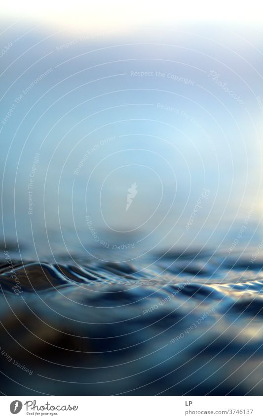 Schwarzes Meer Welle Detail Wellen Wasser Detailaufnahme Flüssigkeit Fließfähigkeit Bewegung Lifestyle Leben Zen Wohlgefühl Wellness meditieren nachdenken