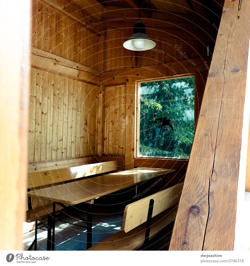 " Holz " Separee, mit Blick ins Grüne, eine Doppelbank aus Holz und im Hintergrund ein Fenster mit viel Grün. Zimmer Kreativität Farbfoto Tourismus Sommer