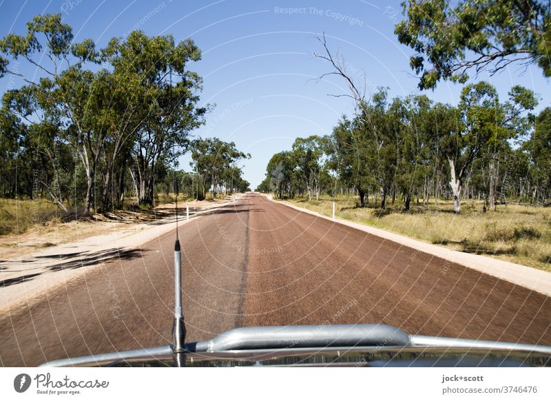 geradeaus durch Australien ohne Ende Straße Verkehrswege Landschaft Natur Baum Ferne fahren Autoantenne Bullbar Frontschutz Bügel Wolkenloser Himmel