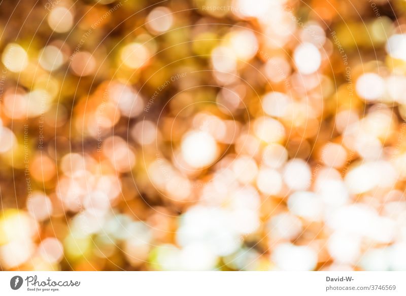 Bokeh im Herbst Lichter leuchten Lichtspiel wunderschön golden glitzern zauberei magisch