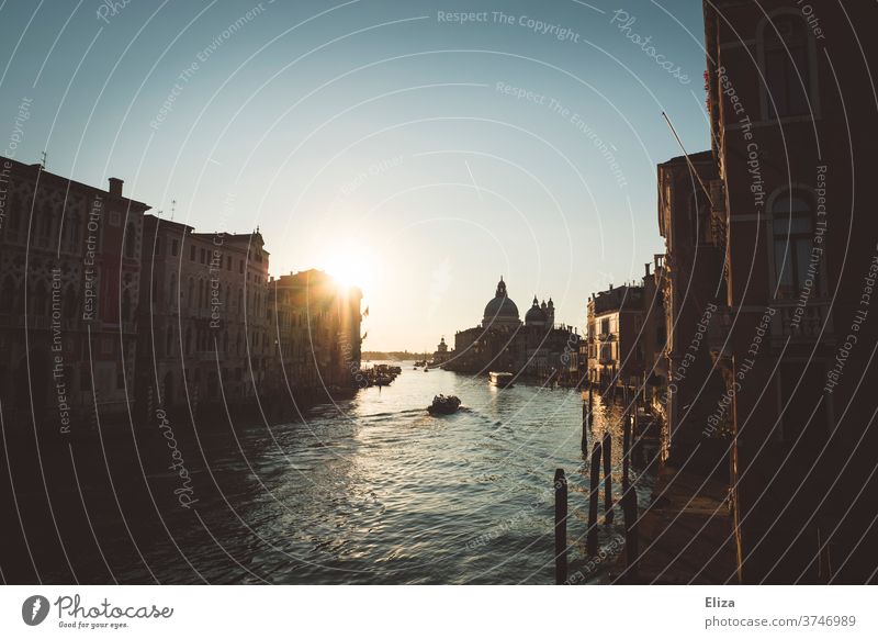 Guten Morgen Venedig - Blick auf den Canal Grande im Morgenlicht Italien morgens ponte dell‘Accademia Gegenlicht Sonnenlicht Morgendämmerung Sehenswürdigkeit