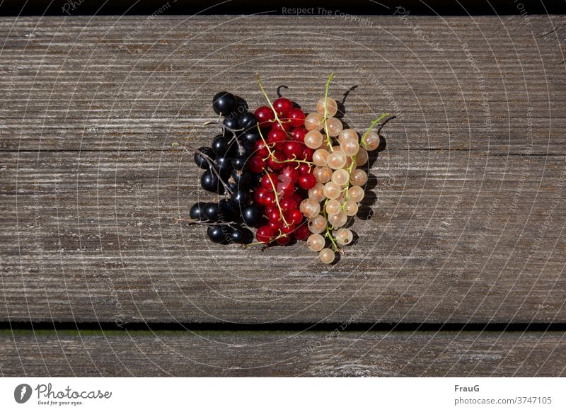 Johannisbeeren in schwarz/ rot/ gold Obst Frucht Beerenobst Ernte Garten Sommer frisch reif lecker gesund Holz verwitterte Oberfläche," gelb bunt