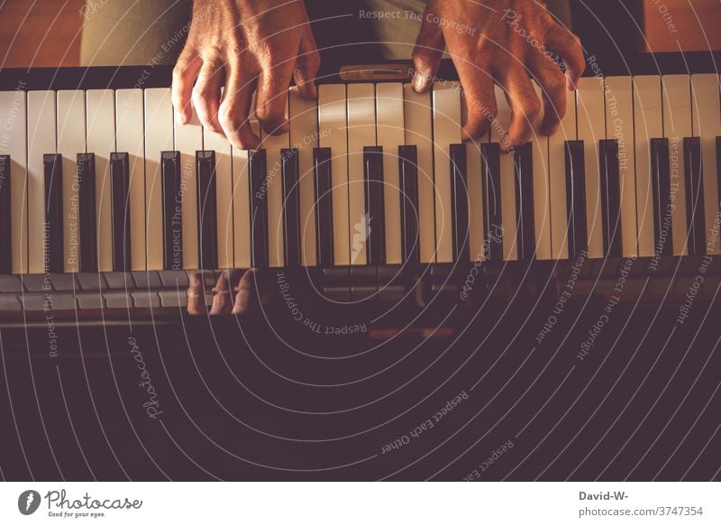 Fingerfertigkeit am Klavier | dynamisch Klavier spielen Musiker Kultur fingerfertigkeit Musikinstrument musizieren üben Künstler Klang Hände Klaviertastatur