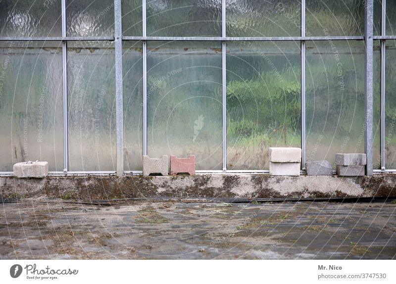Wer im Glashaus sitzt, sollte nicht mit Steinen werfen Gewächshaus Glasscheibe Fensterscheibe Milchglas ziegelstein Boden durchsichtig Handwerk Bauwerk