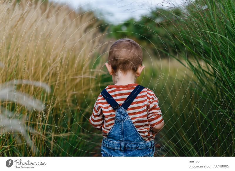 Kleinkind läuft durch Gräser Latzhose Farbfoto 1-3 Jahre Kindheit Außenaufnahme Entdecker Spielen Mensch Junge Leben Porträt Natur Schwache Tiefenschärfe