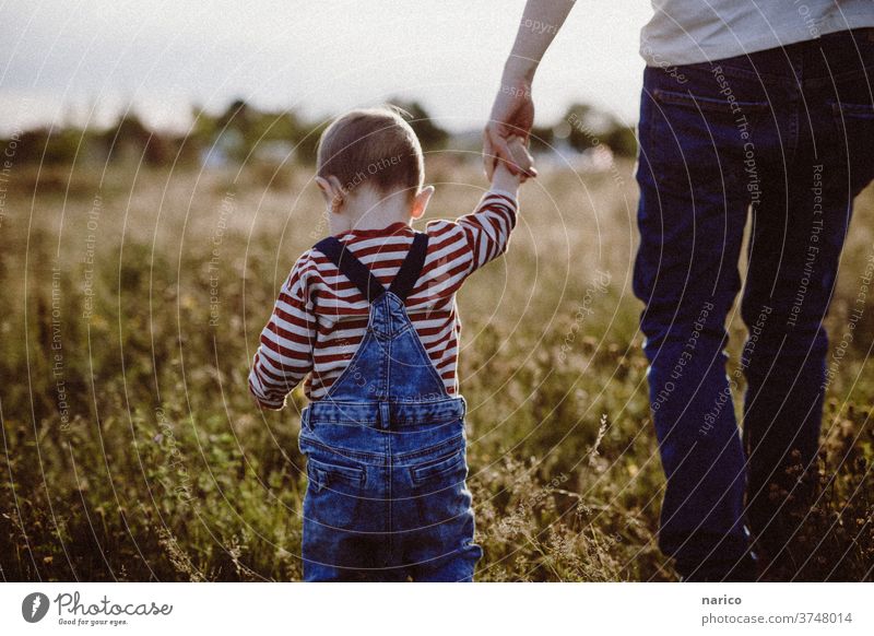 Kleinkind läuft an der Hand vom Vater durchs hohe Gras Kind Junge Farbfoto Außenaufnahme Kindheit 1-3 Jahre Händchenhalten Spaziergang Natur Latzhose