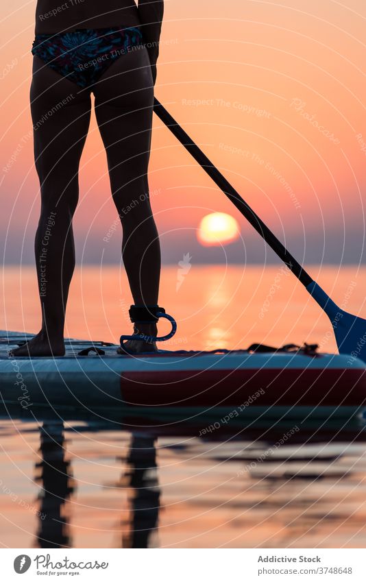 Unkenntlich weibliche Surfer auf Paddleboard bei Sonnenuntergang Paddelbrett Reihe Frau MEER Sommer Training Surfbrett Zusatzplatine Holzplatte sportlich stehen