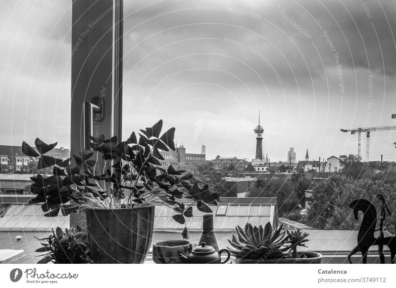 Grauer Montagmorgen im November, Blick aus dem Fenster einer Kölner Stadtwohnung Wohnen Architektur Wohnung fenster Aussicht Ferneshturm Baukräne Fernsehturm