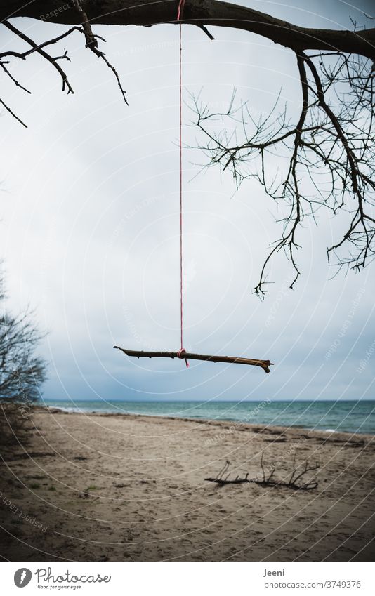 Ast hängt einsam an einem roten Seil am Ostsee-Strand | Suizid Regen Winter Meer Trauer traurig kalt regnerisch Küste Wasser Natur Himmel Wellen Wolken Wetter