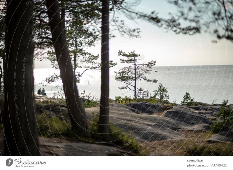 Aussicht zu 2 Horizont Pietarsaari ostseeküste Ostsee Skandinavien Küste Strand Felsenküste felsen Kiefer weite Meer Finnland Österbotten pärchen Paar