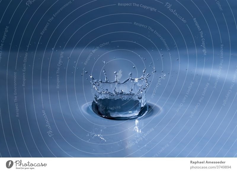 Spritzender Wassertropfen trifft auf Wasseroberfläche Makro Geplätscher Tropfen abschließen Oberfläche winken Form platschen liquide abstrakt aqua Aquamarin