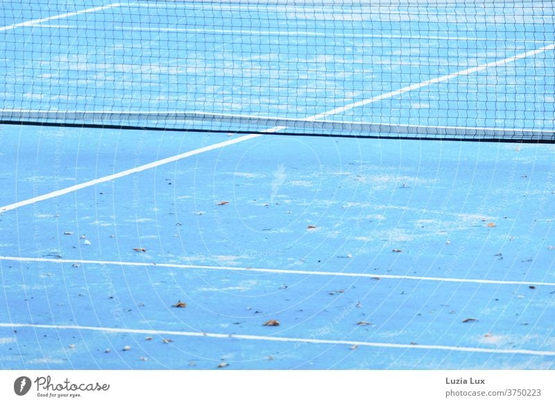 Tennis blauweiß, herbstlich Tennisplatz Herbst Herbtlaub Sport Spielen Linie Freizeit & Hobby Außenaufnahme Farbfoto Menschenleer Sportstätten Tennisnetz