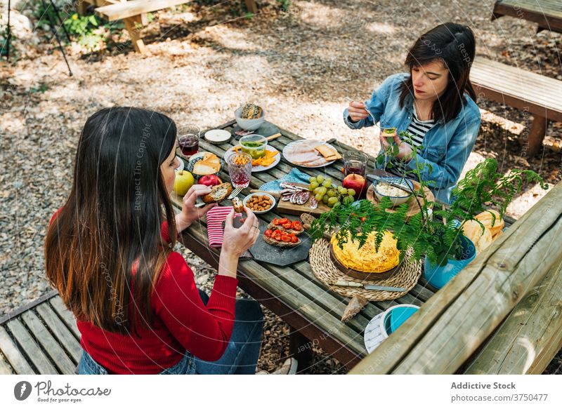 Frauen beim Picknick im Wald Freund Zusammensein essen Lebensmittel Tisch genießen Sommer valle del jerte Cacere Spanien Wälder freundlich heiter Glück sitzen