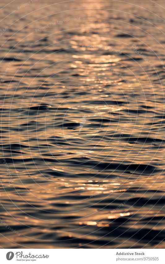 Plätscherndes Meer bei Sonnenuntergang am Abend MEER Wasser Rippeln Windstille Oberfläche Sonnenlicht Reflexion & Spiegelung erstaunlich Farbe malerisch