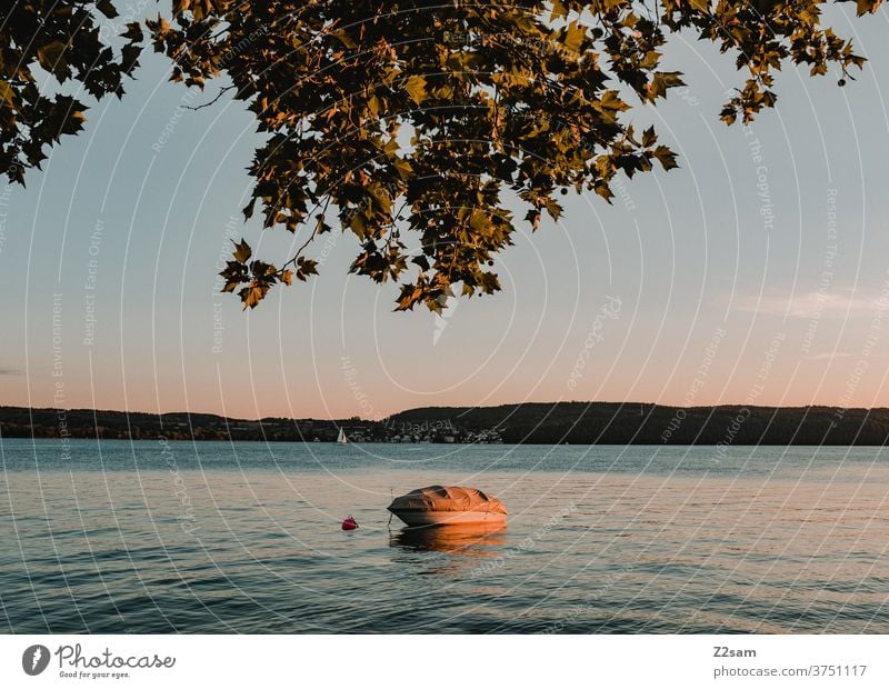 Boot im Sonnenuntergang am Bodensee boot sonnenuntergang abendrot wasser sommer natur baum landschaft ruhe romantik farbe wärm urlaub ferien reisen