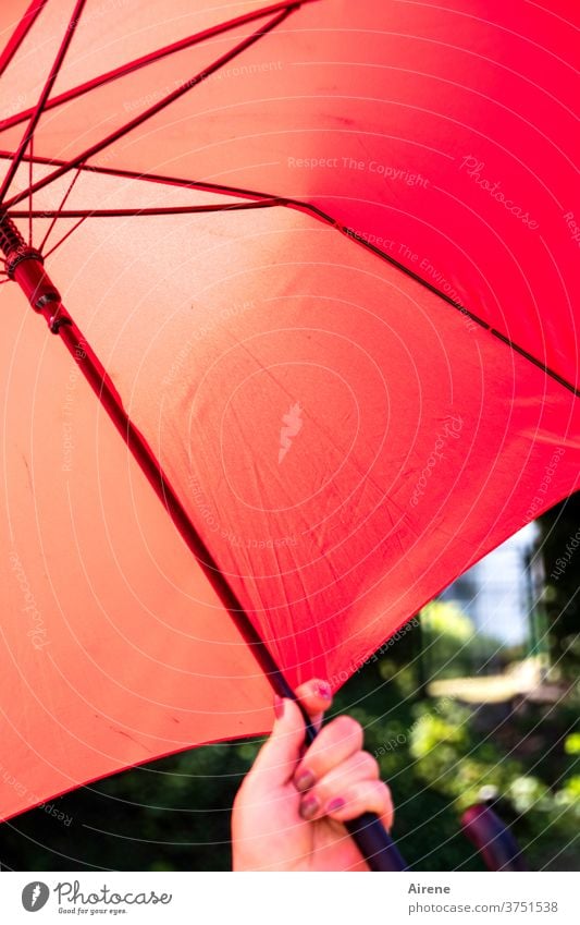 Schutzmaßnahme Schirm Sonnenschirm Regenschirm beschützen abschirmen rot heiß Sommer Hand Nagellack Sonnenschutz Regenschutz Witterung Wetter Wetterschutz