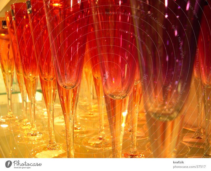 rote Gläser Glas genießen Häusliches Leben Feste & Feiern