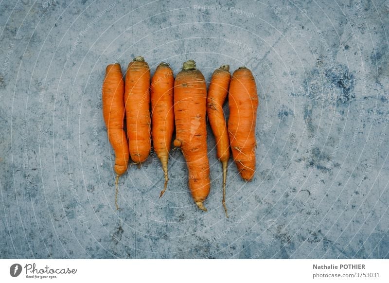 Organische und unregelmäßige Möhren ausgerichtet Biografie regelwidrig Garten Gemüse Ernte orange Vitamin Vegetarier Wurzel reif roh Pflanze Ernährung Natur