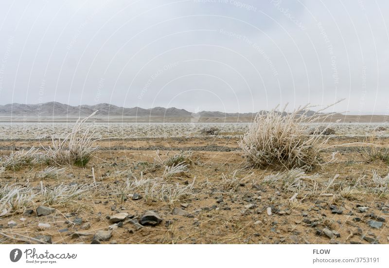 Eis in der Gobi Wüste Sand Mongolei
