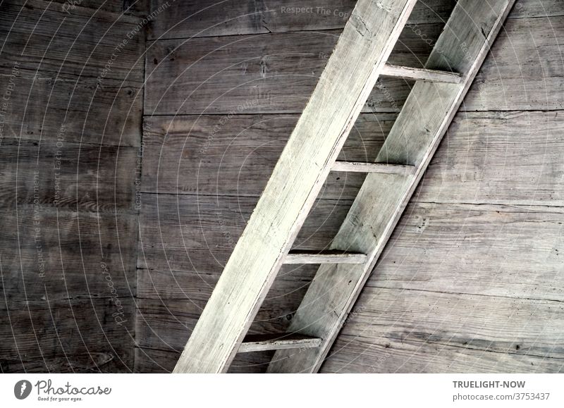 Eine stabile, weiss getünchte Holzleiter oder -Treppe führt entlang der ebenfalls weiss getünchten Holzwand im Innern einer alten, Denkmal geschützten Hütte nach oben auf den Dachboden