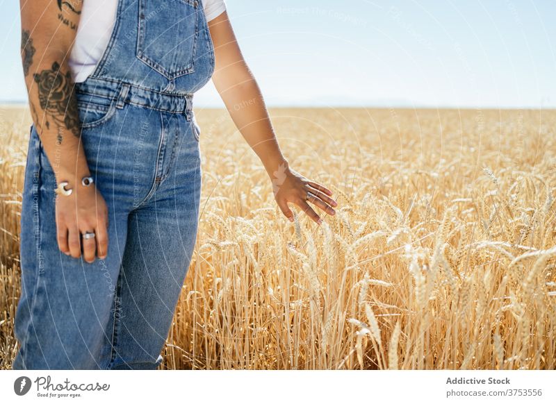 Anonyme Frau, die an einem trockenen Feld steht Weizen Ackerbau genießen Sommer golden trocknen Saison sorgenfrei Landschaft ländlich Urlaub stehen Natur Himmel