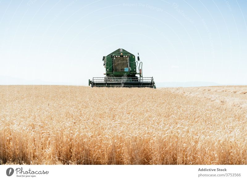 Landwirtschaftliche Maschine im Feld im Sommer Ernte Mähdrescher abholen Weizen Landschaft Bauernhof Ackerbau Saison ländlich Natur Wiese Ackerland Umwelt