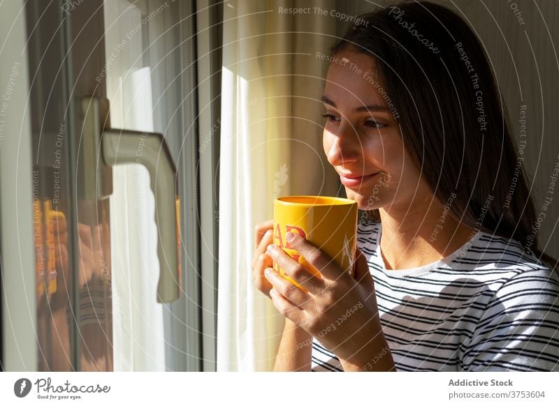Lächelnde Frau genießt den Morgen zu Hause trinken Kaffee Sonnenlicht heimwärts genießen Heißgetränk Getränk Fenster Tasse sorgenfrei sich[Akk] entspannen heiß