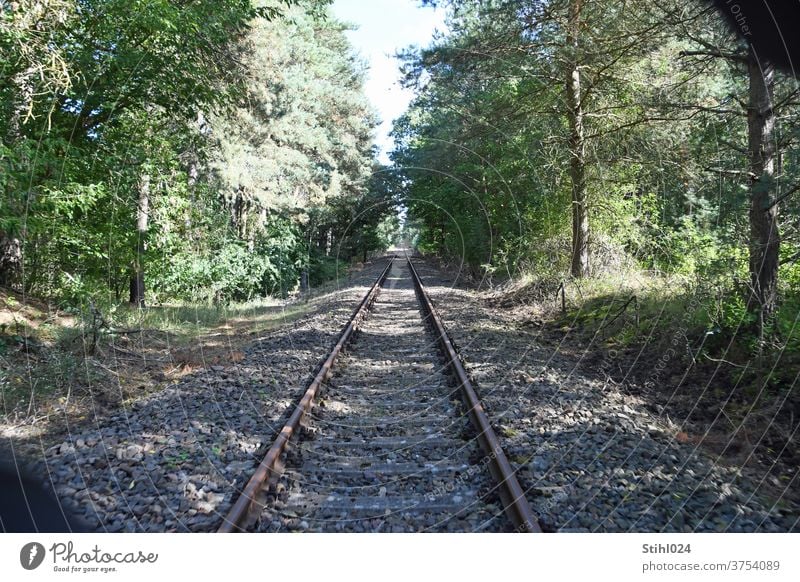 stillgelegte Bahnstrecke in der Uckermark BAhn Schienen geradeaus vorwärts Wald schnurgerade Schotterbett BAhndamm Bäume BAhnschienen zugewachsen Gleise