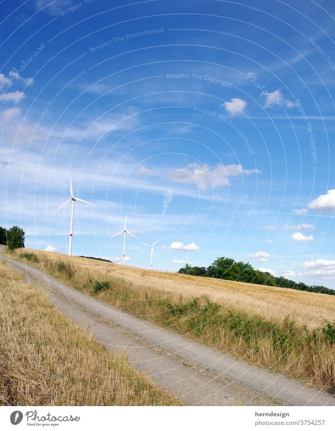 Windkraftanlagen in der Natur Windrad Windräder Windenergie Erneuerbare Energie Energiewirtschaft Himmel Farbfoto Elektrizität Umweltschutz Außenaufnahme
