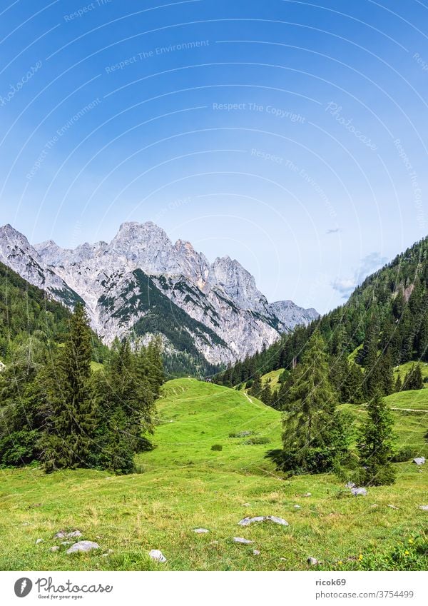 Blick auf die Bindalm im Berchtesgadener Land Bayern Alpen Gebirge Berg Baum Wald Landschaft Natur Alm Wiese Gras Landwirtschaft Viehzucht Klausbachtal Wolken
