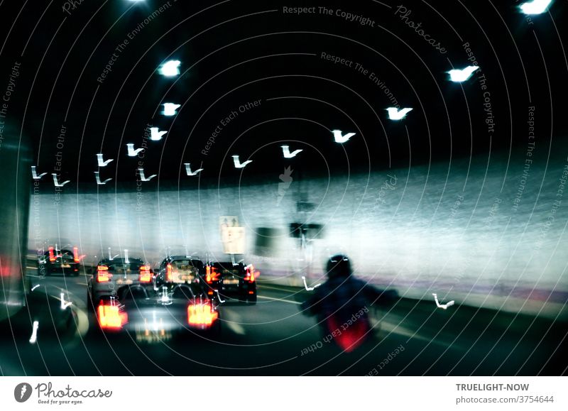 Dynamischer | Tunnelblick durch die Frontscheibe, als die Autobahn eine Kurve macht und ein gespenstischer Biker und die Rücklichter der Autos neben und vor ihm mit den Reflexionen der rhythmischen Tunnelbeleuchtung ein Lichterspektakel erzeugen