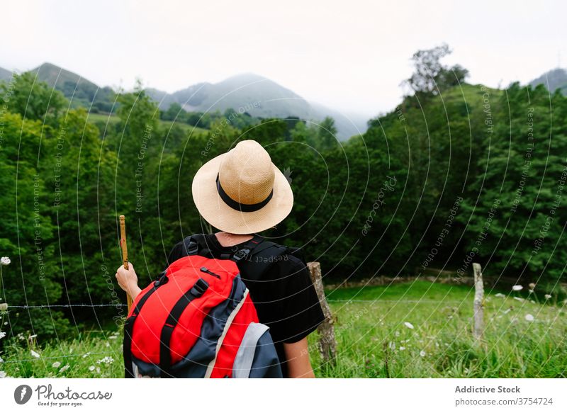 Tourist mit Rucksack im grünen Wald Reisender Trekking Wälder Sommer Entdecker Wanderung Natur Abenteuer Urlaub hölzern kleben Weg Tourismus Nachlauf erkunden
