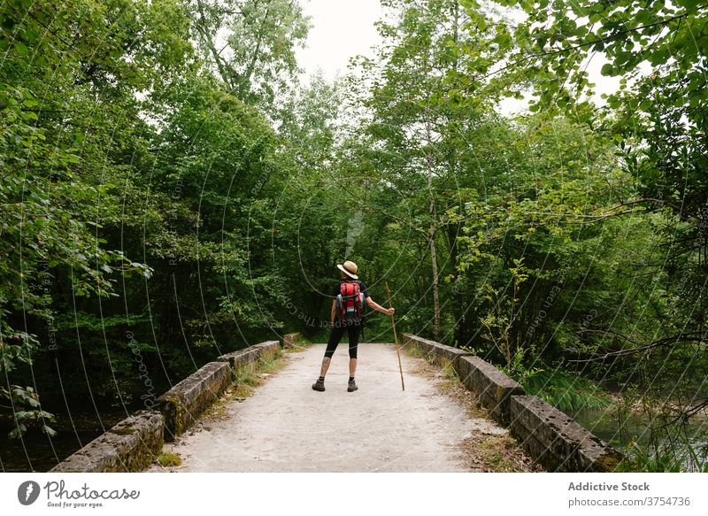 Unbekannter Reisender auf Steinbrücke im Wald Brücke erkunden Urlaub Sommer sich[Akk] entspannen bewundern Natur Tourist Rucksack hölzern kleben schäbig