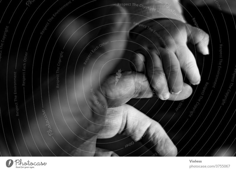 Generationenvertrag - die Hand reichen berührend Korona weltweit Hände schütteln Hilfe Glaube anhänglich abstützen Senioren Zwei Personen Zuneigung
