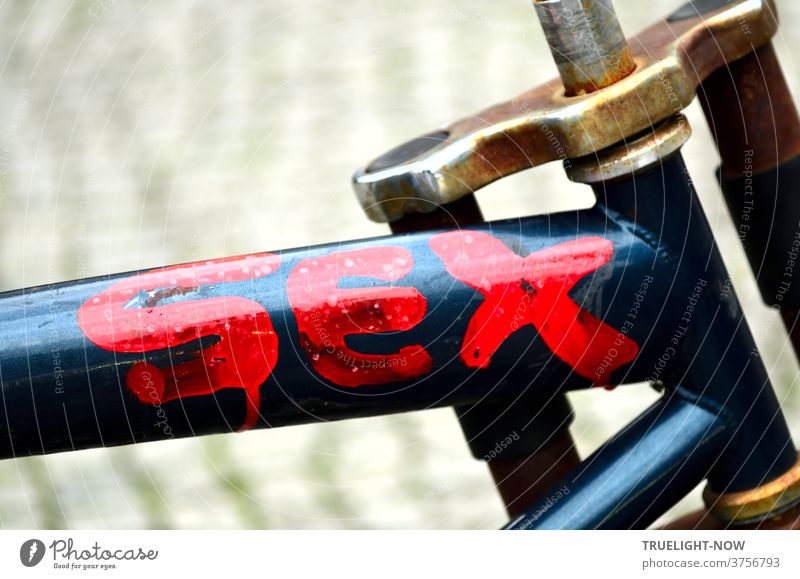 lebensnotwendig | SEX steht in großen, schreiend roten Lettern auf dem abgestellten und vergessenen Stahl blauen Rahmen eines alten Mountain Bikes, Nahaufnahme Detail