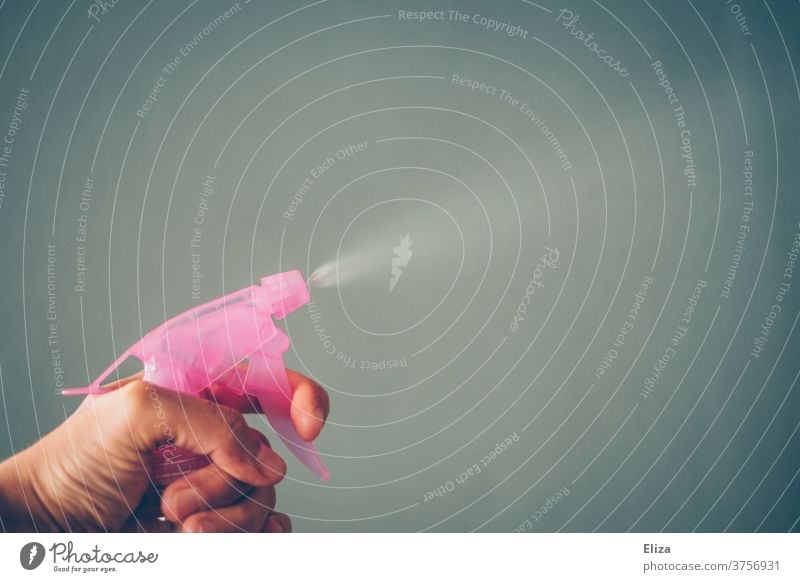 Eine Hand Sprüht mit einer rosa Sprühflasche Sprühen Desinfektionsmittel Wasser spritzen desinfizieren Sprühnebel gießen Hygiene Sauberkeit Putzmittel