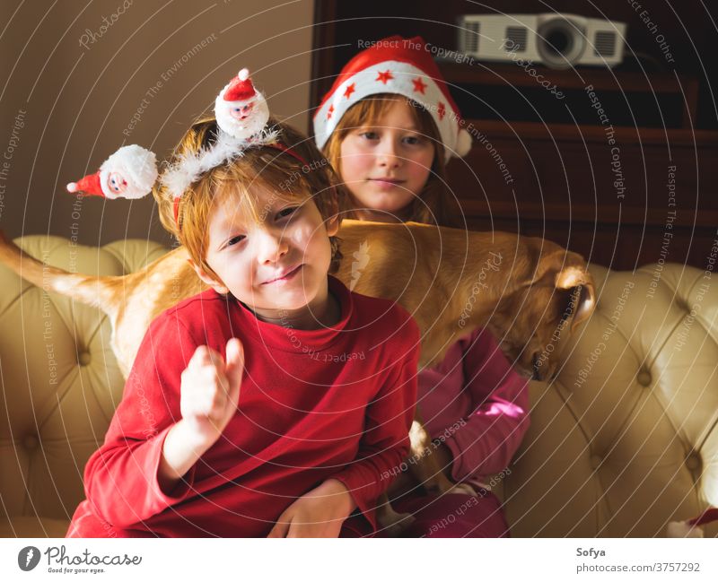 Kinder mit Weihnachtsmannmützen spielen mit einem süßen Welpen Weihnachten authentisch Neujahr Stimmung Lächeln Verschlussdeckel rot Hund Haustier Winter Spaß
