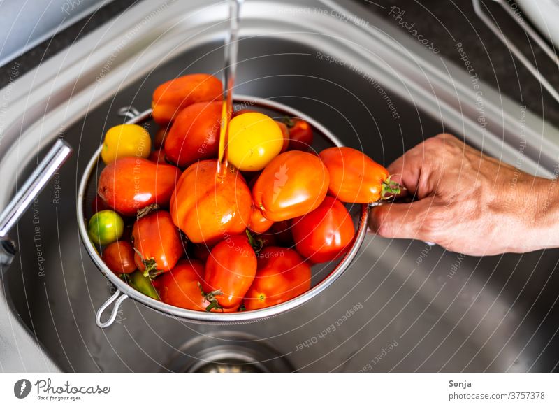 Mann wäscht frische rohe Tomaten in einem Küchensieb über einem Spülbecken Waschen Küchenspüle Sieb Hand halten teilabschnitt Wasserhahn Reinigen Innenaufnahme