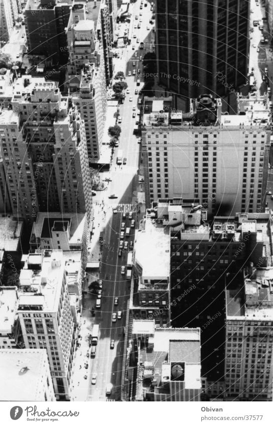 New Yorks Straßen New York City USA Stadtzentrum Skyline bevölkert Hochhaus Architektur Verkehr Berufsverkehr PKW hoch Dinge Schwarzweißfoto Außenaufnahme