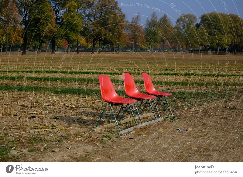 drei rote Schalenstrühle auf einem Acker Stuhl Stuhlreihe Außenaufnahme Natur Herbst Bäume verlassen Menschenleer Feld warten Einsam Umwelt Landwirtschaft