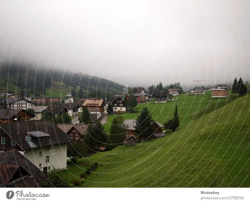 Brandner Tal Brandnertal Österreich Berge u. Gebirge Landschaft Häuser Wiese Nebel Panorama (Aussicht) Alpen Natur wandern Ferien & Urlaub & Reisen