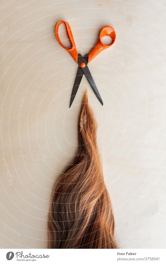 Rotes Ingwerhaar mit Orangenschere geschnitten, flachgelegt Friseur Haarschnitt flache Verlegung rote Haare lange Haare Sackgassen Schere vereinzelt stechend