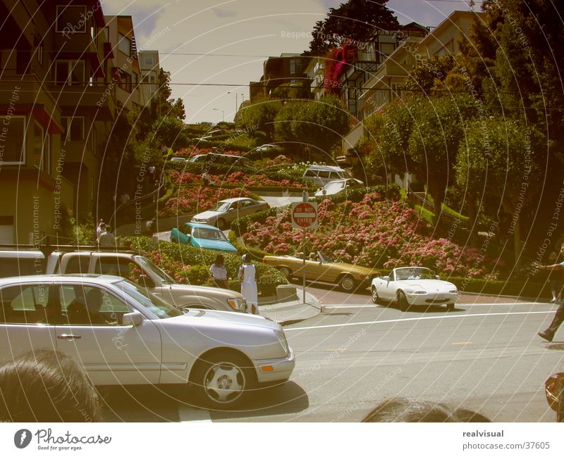 San Fransisco Serpentinen vergilbt alt Lombard Street Attraktion Sehenswürdigkeit