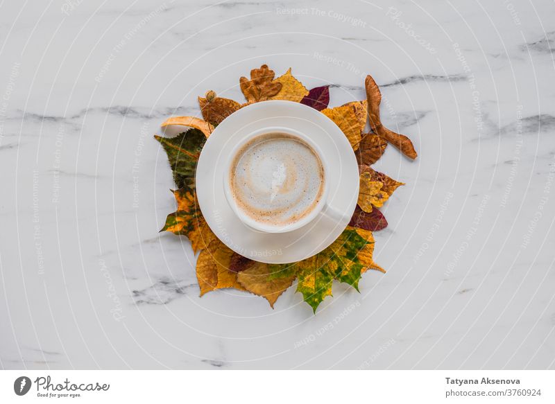 Tasse Milchkaffee mit Herbstblättern auf Marmor fallen Murmel Blatt Kaffee Cappuccino Ahorn gelb Hintergrund orange Saison Textur braun Design Pflanze