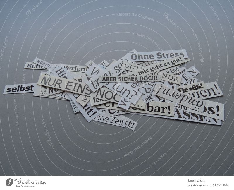 Ein Haufen ausgeschnittener Worte Kommunizieren Mitteilung Schriftzeichen Text Buchstaben Kommunikation Typographie Sprache Menschenleer Farbfoto Verständigung