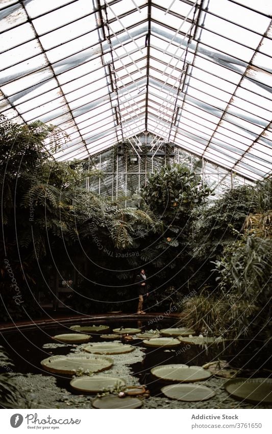 Unbekannter Reisender im Gewächshaus mit Teich Sightseeing Glas Pflanze grün Tourist kultivieren Schottisches Hochland Schottland Großbritannien