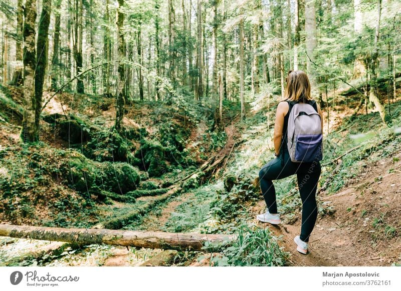 Junge Naturforscherin im Wald aktiv Abenteuer allein Rücken Rucksack Backpacker schön Fundstück Europa erkunden Entdecker Frau Laubwerk Freiheit Mädchen grün