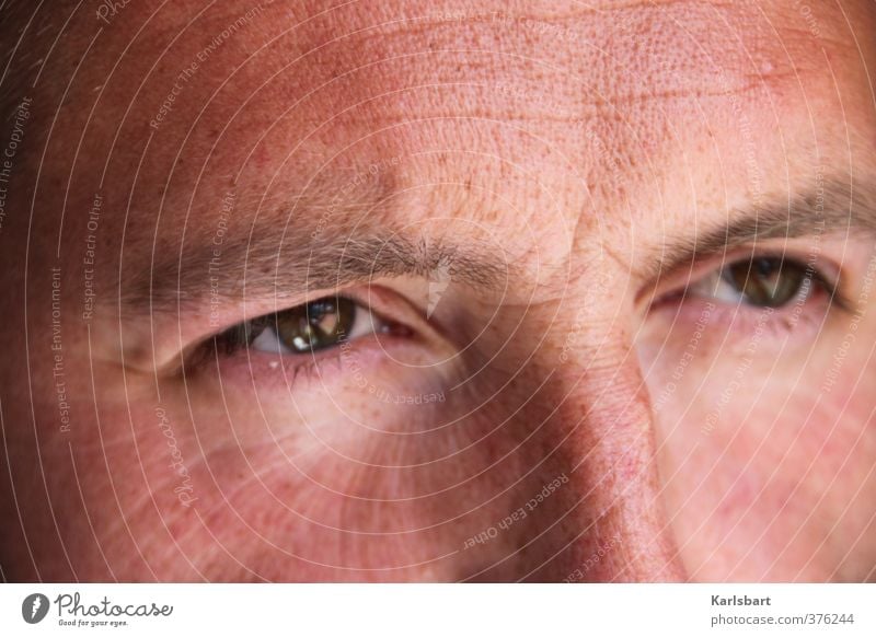 skepsis. Haut Gesicht Mensch maskulin Mann Erwachsene Senior Auge 1 30-45 Jahre Denken Verantwortung achtsam Wachsamkeit vernünftig kompetent Kontakt